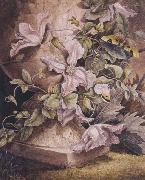 Mrs Theodore Henry Fielding Still-life (mk47) France oil painting artist